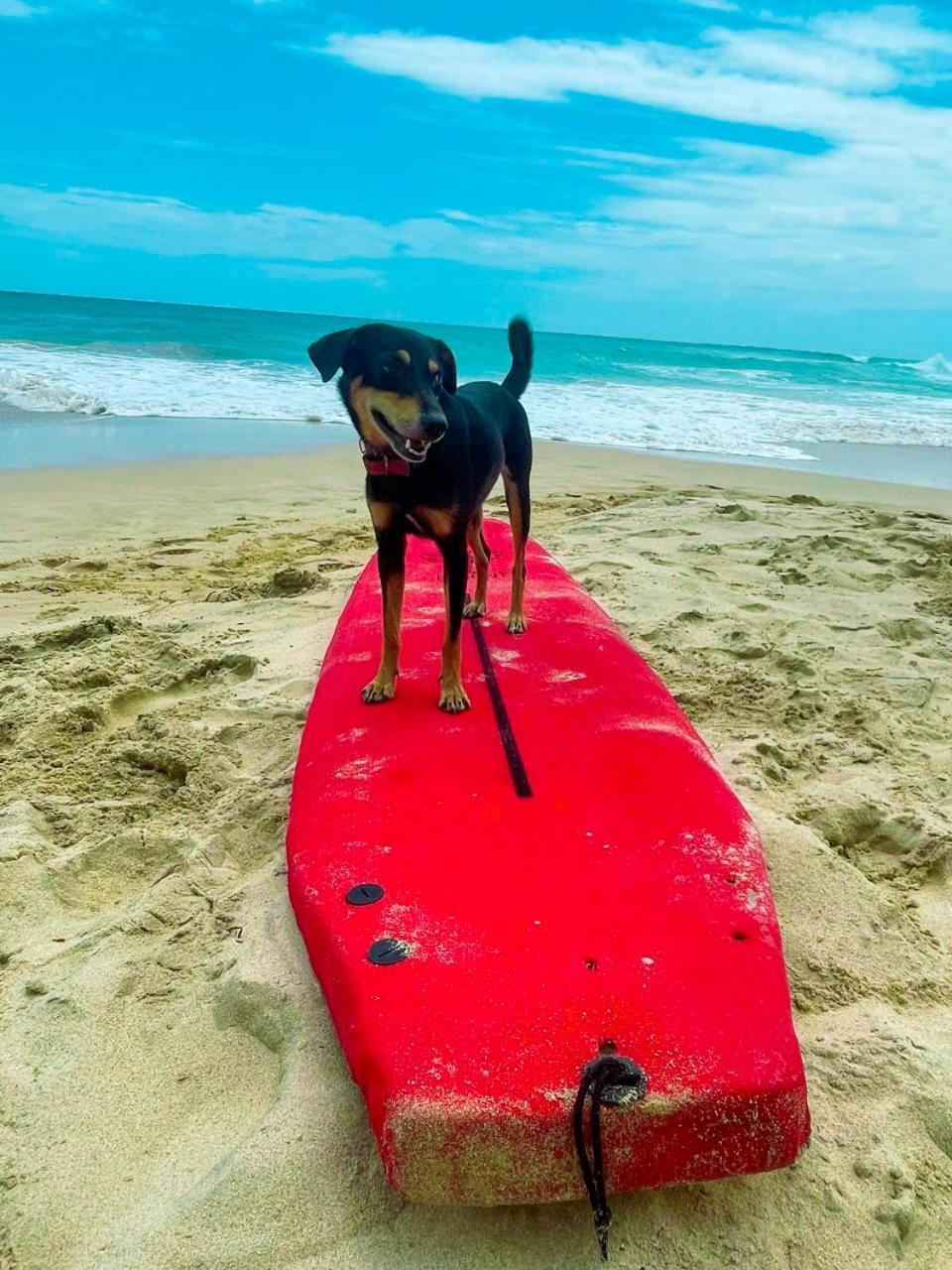 Ostello Gaia Ocean Surf Yoga Ahangama Esterno foto